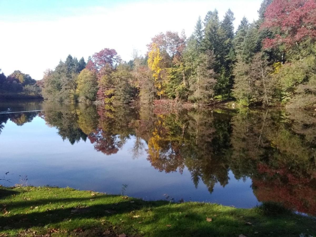 Gite De L'Arboretum Dompierre-les-Ormes Экстерьер фото